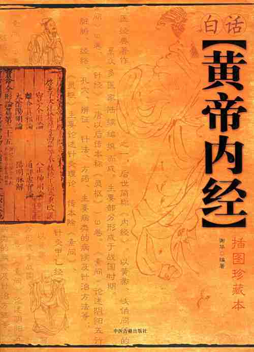 太极拳与中医学的各种关联