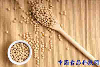 豆浆营养全攻略
