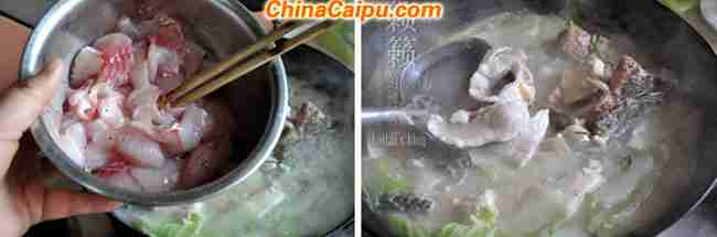 #百家千宴# <wbr>正月里来美美地吃顿鱼!【老豆腐炖黑鱼】